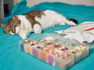 spotted cat lies on the bed with open eyes next to embroidery and a box of floss threads. High quality photo